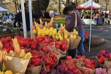 Freedom Farmers Market at the Carter Center