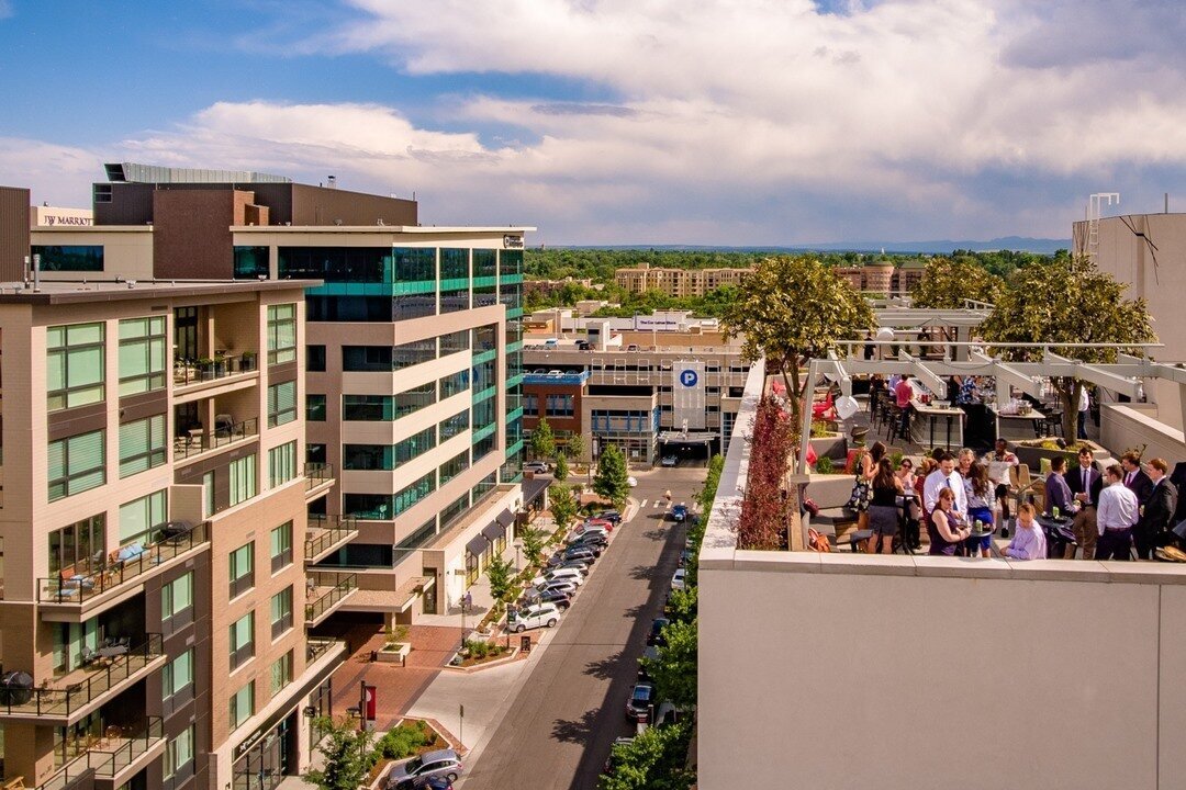 Top Bars In Downtown Denver