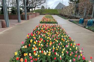 Denver Botanic Gardens