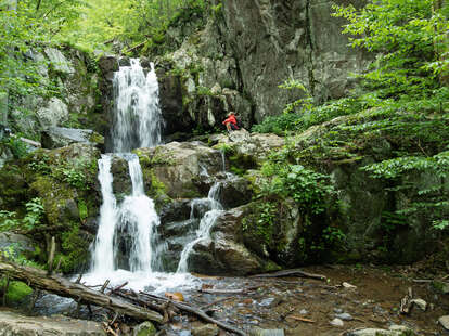 Man in red jacket exploring a forest waterfall in Shenandoah National Park, Virginia