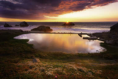 Sutro Baths wildflowers San Francisco