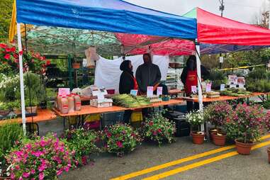 Hot Yoga, Park City Farmer's Market