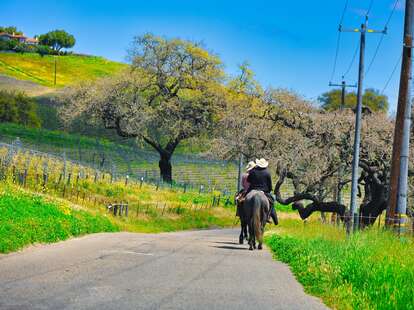 horseback riding in Santa Ynez, California