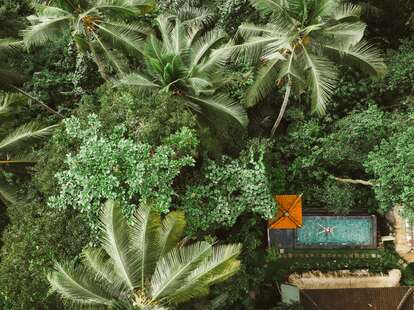 A person floats in a pool in Bali at a vacation rental property, surrounded by lush vegetation.