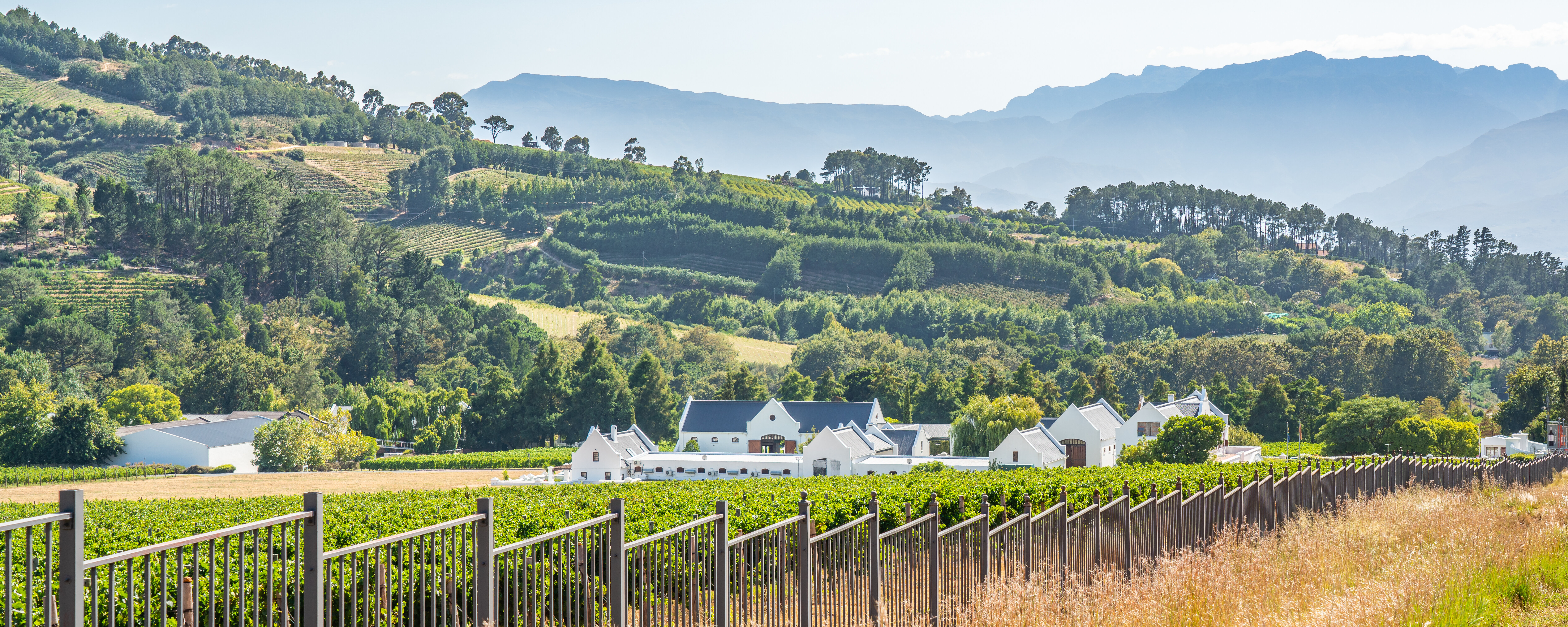 A Cheatsheet to Sipping Like a Pro in South Africa’s Famous Wine Region