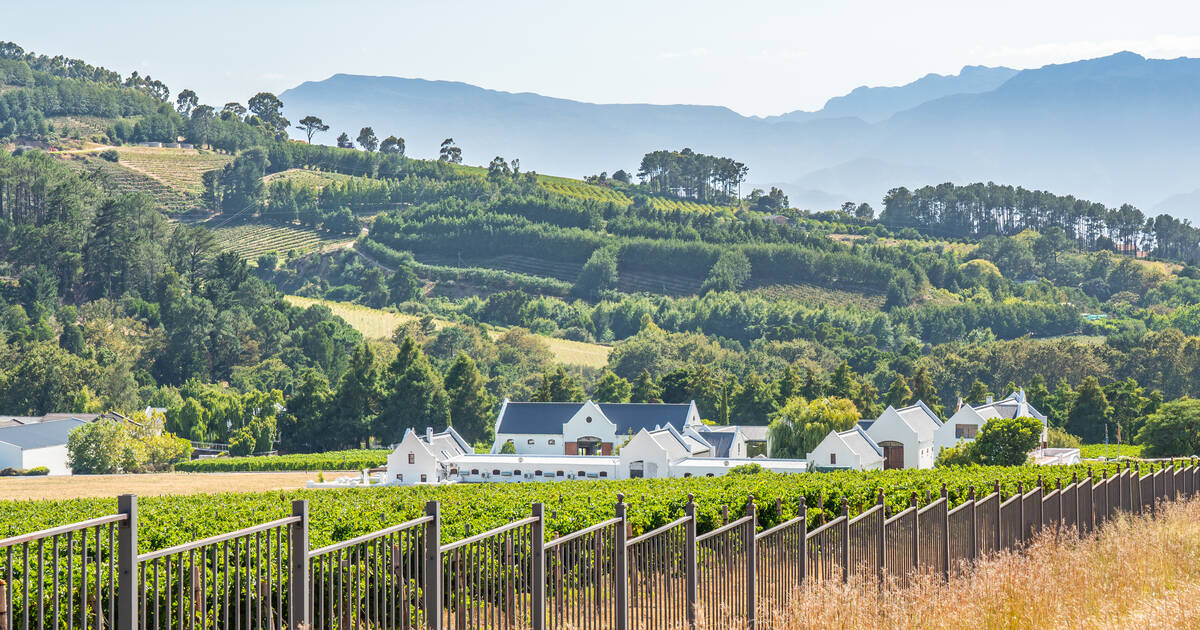 Cape Town Wine Country: A Guide To South Africa\'s Vineyards - Wine Travel