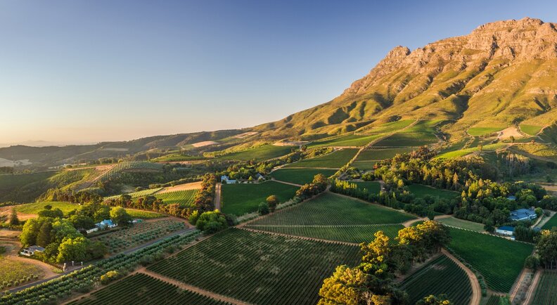 Stellenbosch