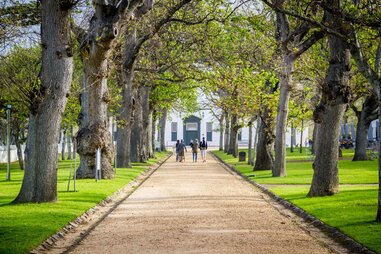 south africa vineyards