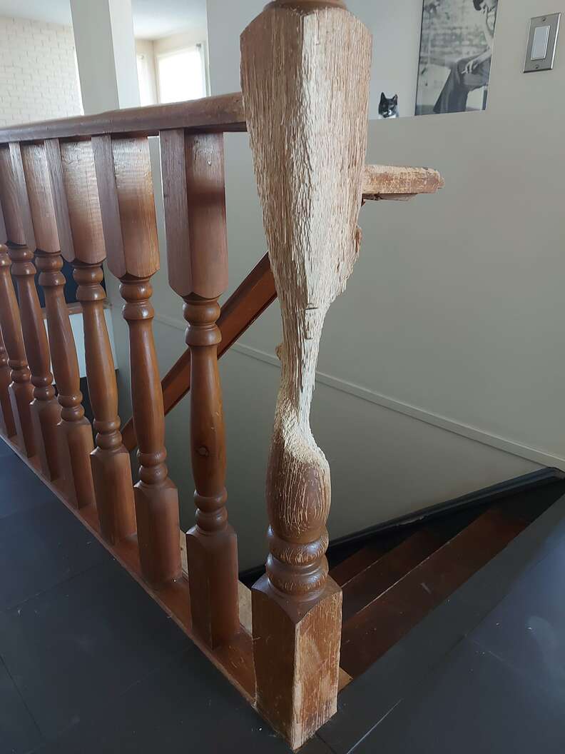 Cat Dedicates His Life To Turning Wooden Banister Into A Work Of