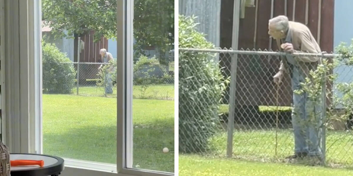 94-Year-Old Grandpa Shares The Sweetest Routine With His Neighbor's Dogs - The Dodo