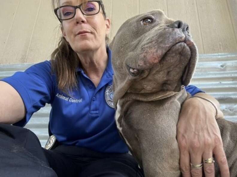 woman hugging dog 