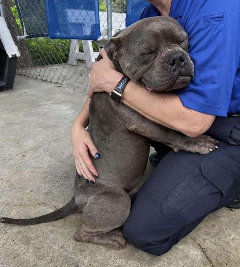 dog hugging woman