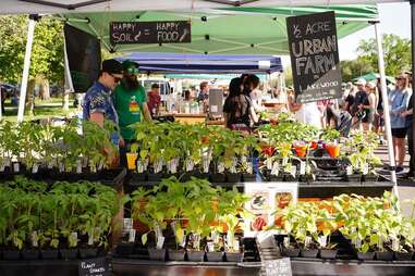 City Park Farmers Market