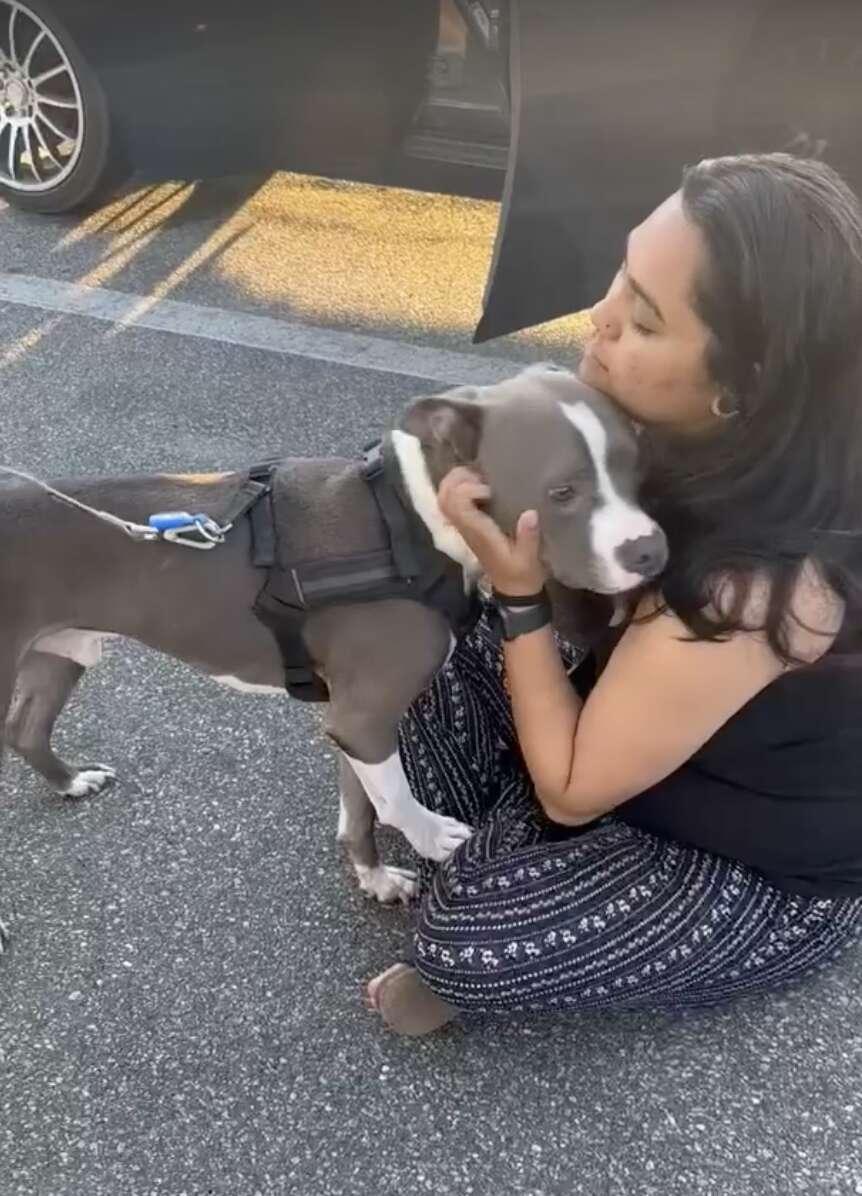 Dog reunites with owner