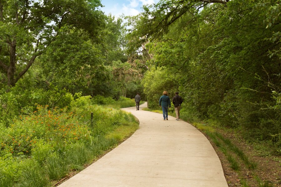 Walk In Path Connection Walking Path