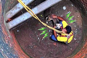 Dog Falls In Well And Needs A Whole Team Of Rescuers To Get Out