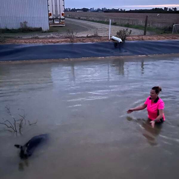 woman saving kangaroo