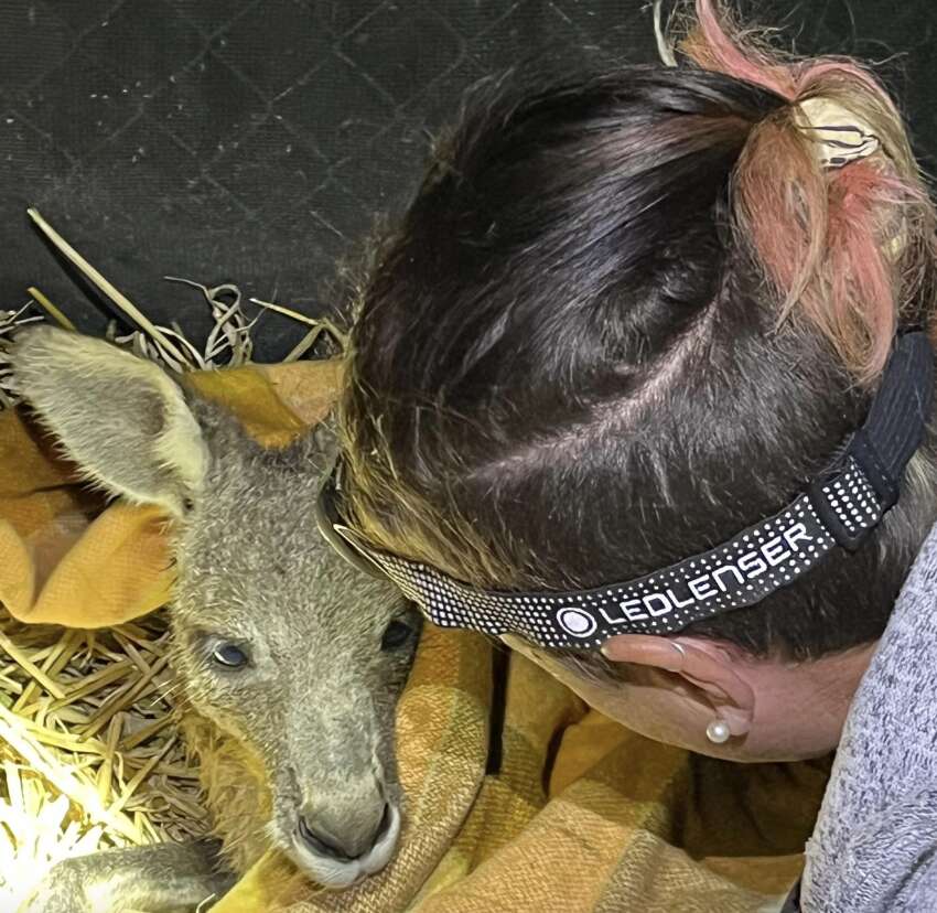 woman with kangaroo