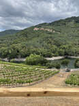 Alamitos Vineyards