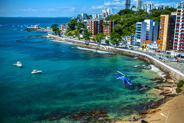 A coconut grove on Imbassai Beach, near Salvador, Bahia, Brazil.