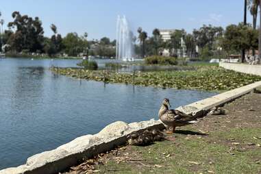 Echo Park Lake