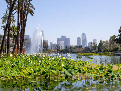 Echo Park Lake, Los Angeles