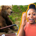 Wildlife Expert Reacts To INSANE Bear Encounters!