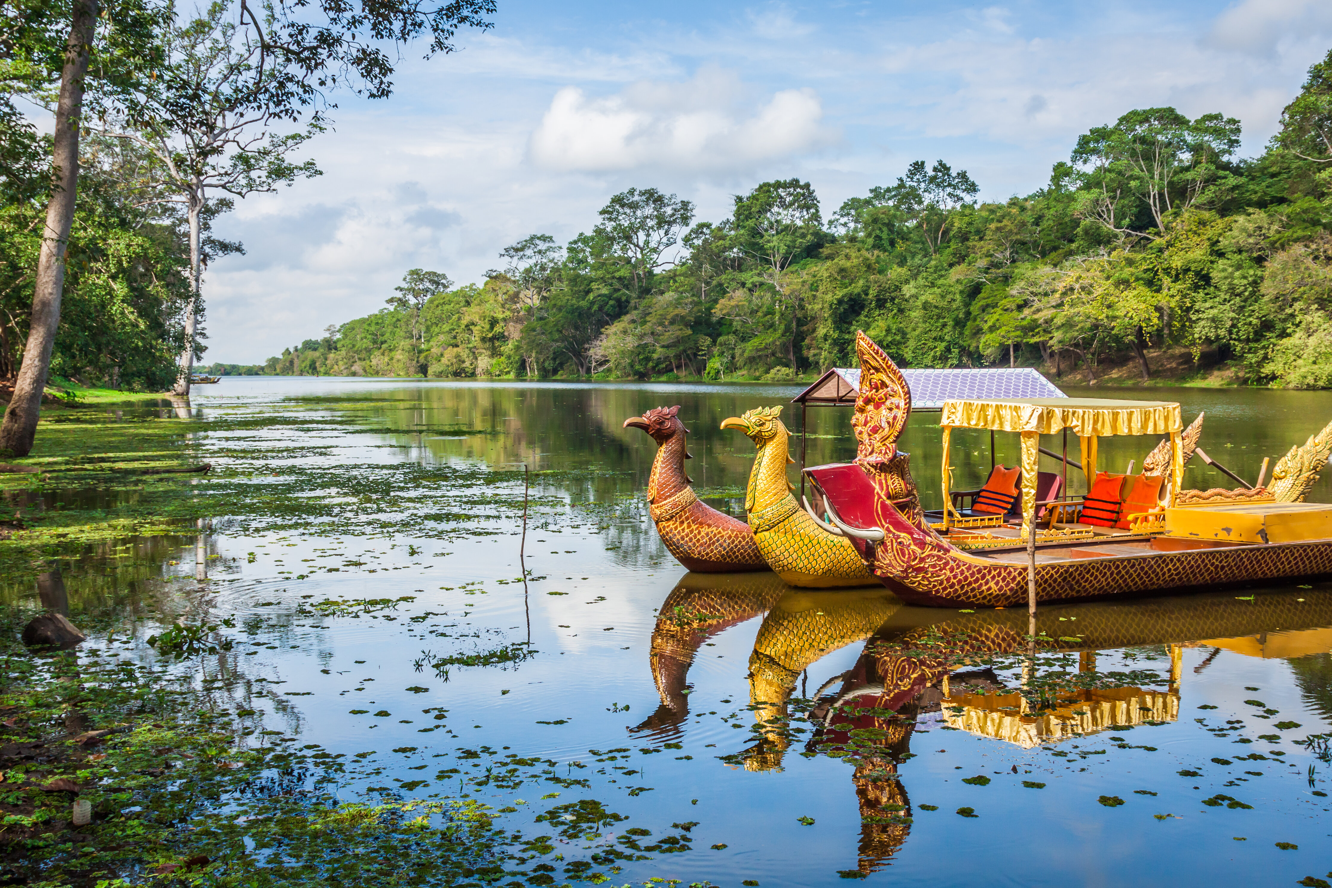 Maximize Summer Fun with These June Travel Ideas
