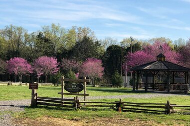 Cedars of Lebanon State Park