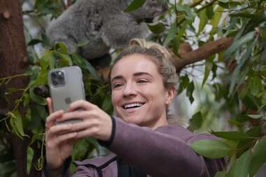 kristie mewis koala