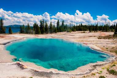 Yellowstone National Park