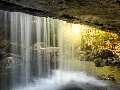dog slaughter falls view