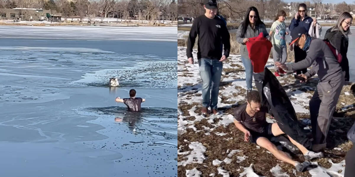 Man Runs Into Freezing Lake To Save Dog From Drowning - The Dodo