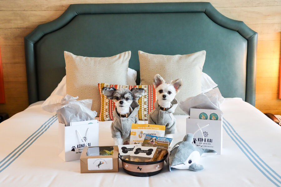 Dog friendly deals hotels