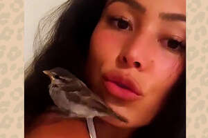 Woman Rescues And Raises A Baby Sparrow