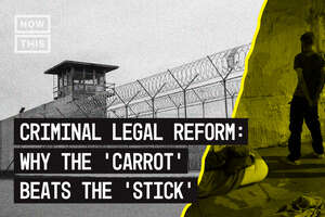 Carrot vs. Stick: An Analogy for Criminal Legal Systems