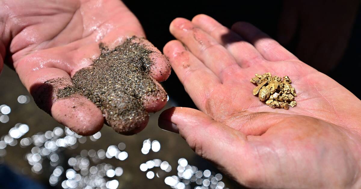 Gold panning facts When you pan for gold you just cant find gold you can  only find flacks of gold. You cant find gold just like that The concept of  gold. 