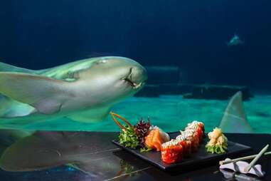 eat under water