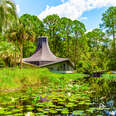 Okefenokee Swamp