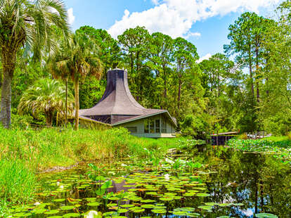 Okefenokee Swamp