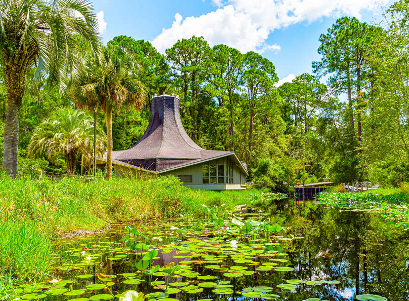 Okefenokee Swamp