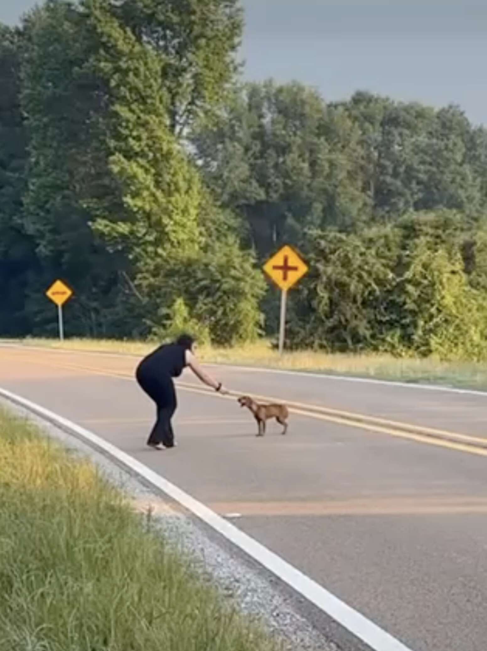 Sisters On Road Trip Find Scared Dog And Decide To Bring Her Along ...