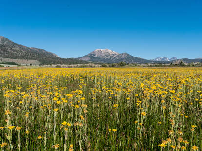  Mammoth Lakes 