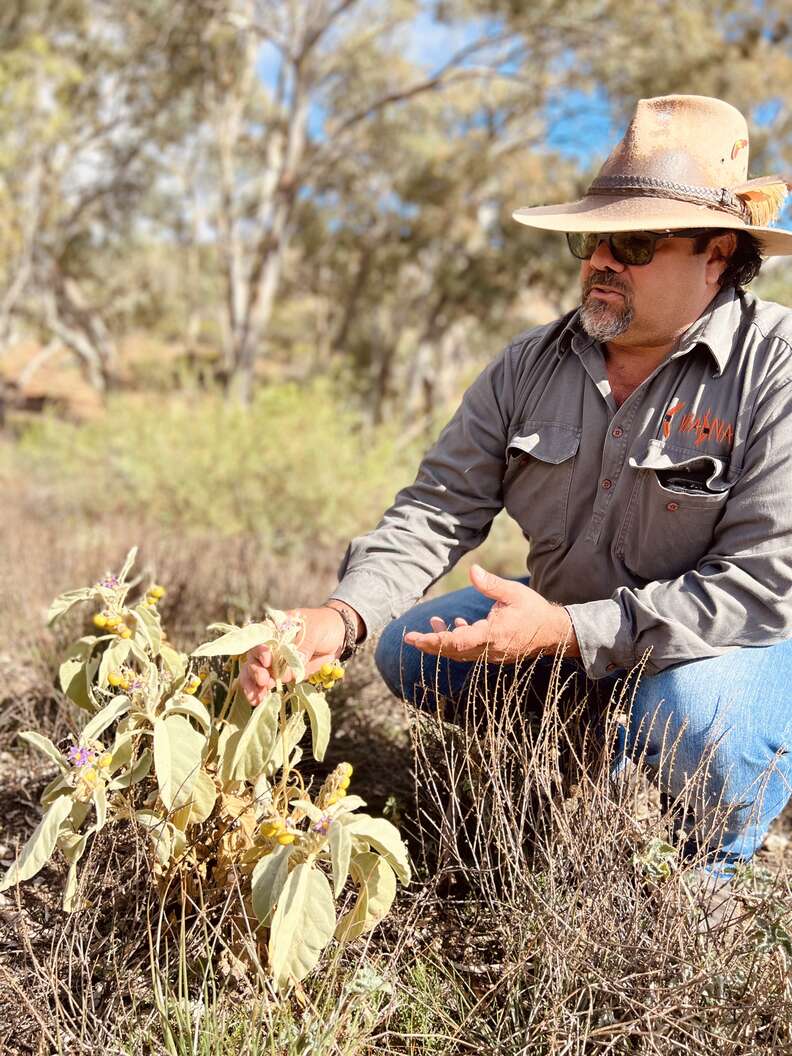 Aboriginal tours