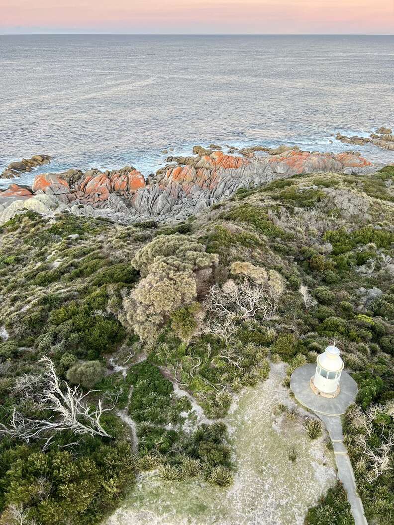 indigenous tour tasmania