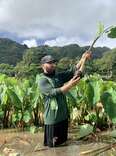 indigenous tours