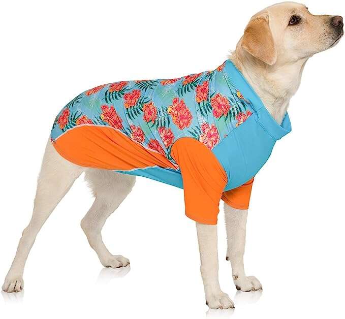 Summer Dog Shirt