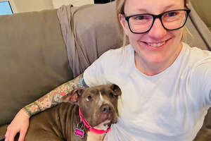 Skinny Pittie Is The Happiest Little Hippo Now