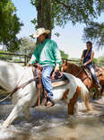 Miraval Austin horseback riding