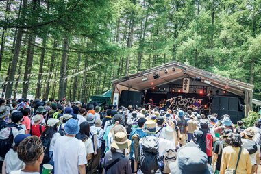 a music stage surrounded by forest